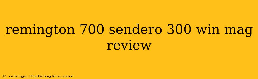 remington 700 sendero 300 win mag review