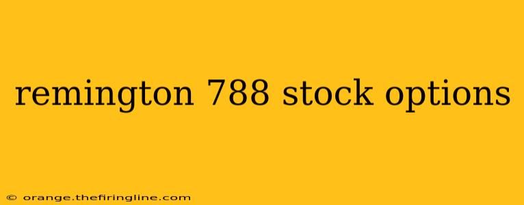 remington 788 stock options