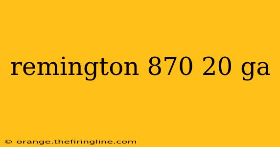 remington 870 20 ga