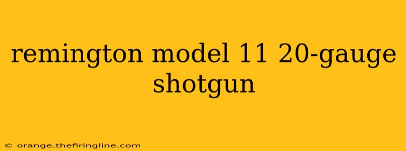 remington model 11 20-gauge shotgun