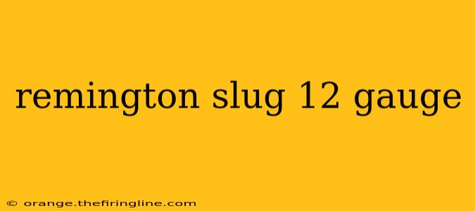 remington slug 12 gauge