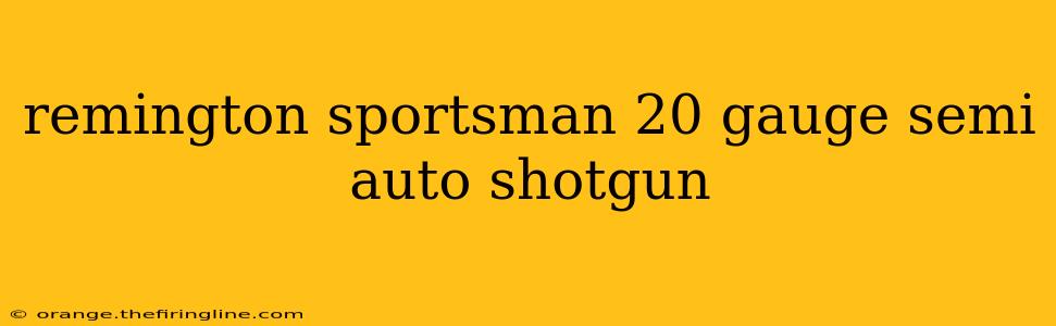 remington sportsman 20 gauge semi auto shotgun