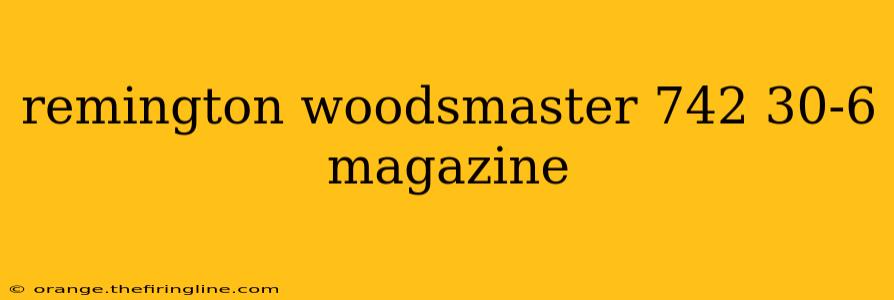 remington woodsmaster 742 30-6 magazine