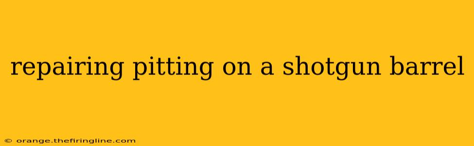 repairing pitting on a shotgun barrel