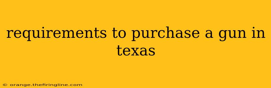 requirements to purchase a gun in texas