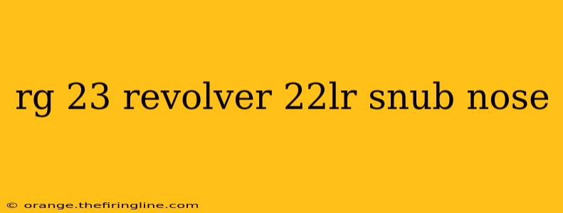 rg 23 revolver 22lr snub nose