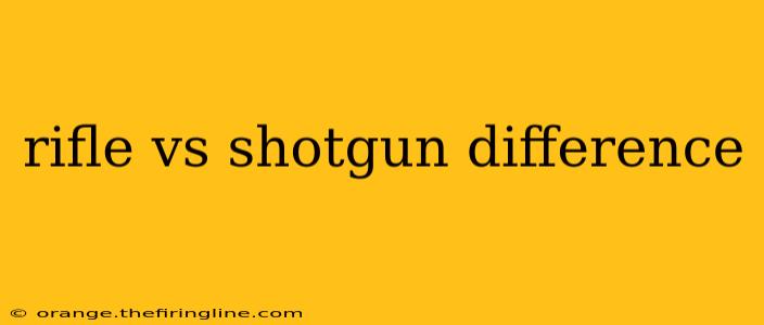 rifle vs shotgun difference