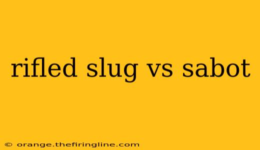 rifled slug vs sabot