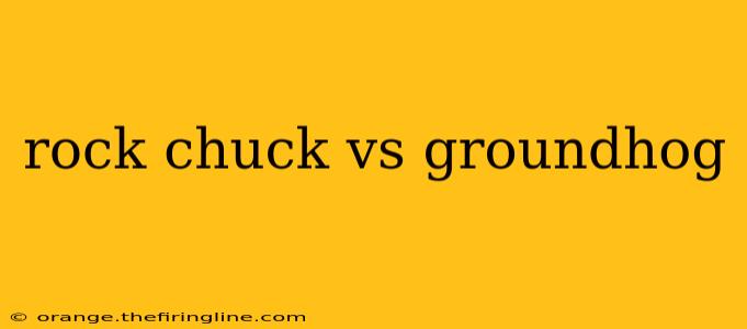 rock chuck vs groundhog