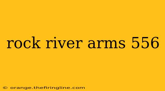 rock river arms 556