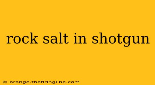 rock salt in shotgun