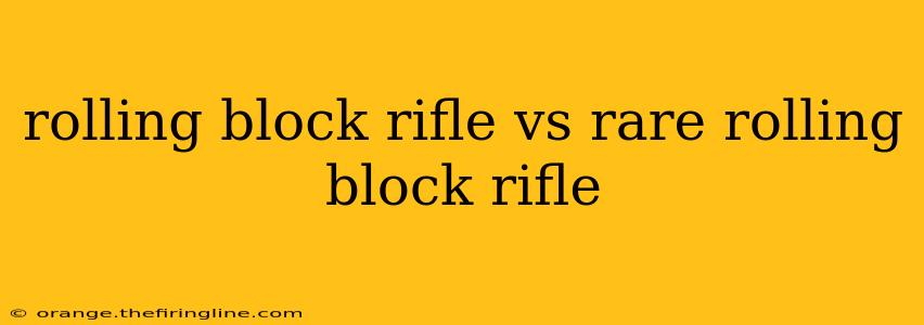 rolling block rifle vs rare rolling block rifle