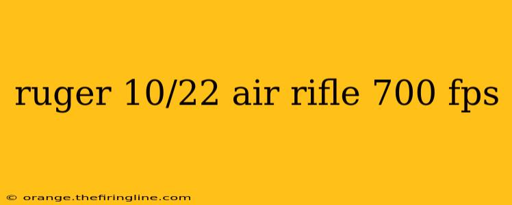 ruger 10/22 air rifle 700 fps