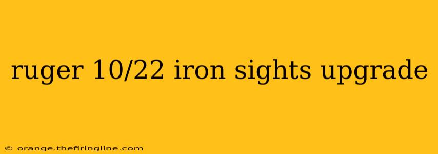 ruger 10/22 iron sights upgrade