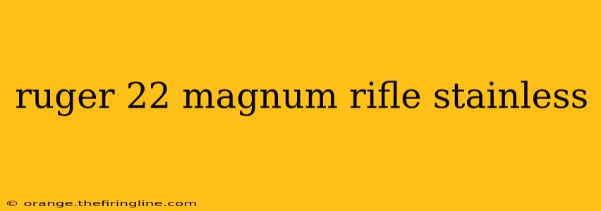 ruger 22 magnum rifle stainless