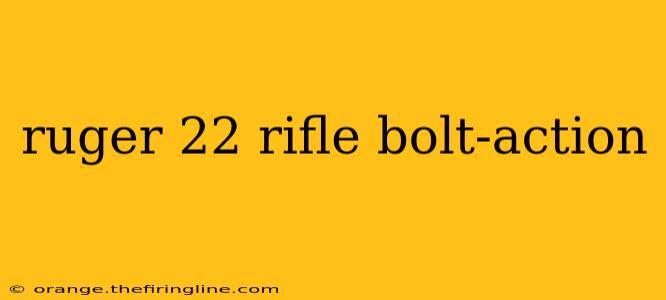 ruger 22 rifle bolt-action