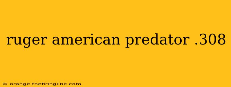 ruger american predator .308