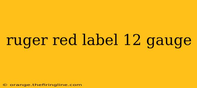 ruger red label 12 gauge