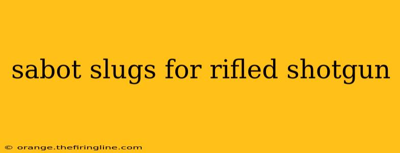 sabot slugs for rifled shotgun