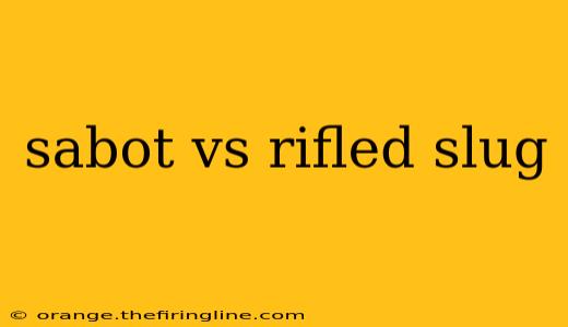 sabot vs rifled slug