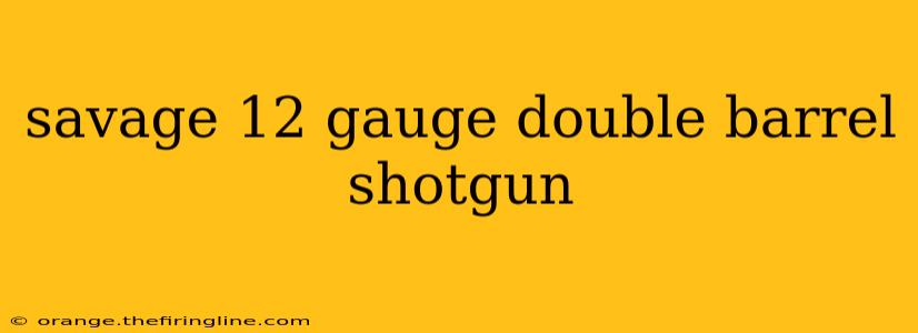 savage 12 gauge double barrel shotgun