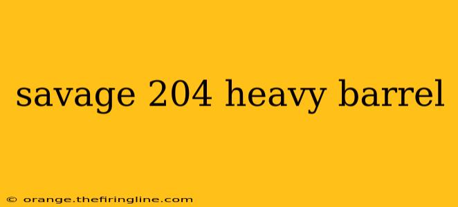 savage 204 heavy barrel