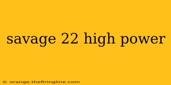 savage 22 high power