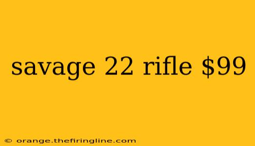 savage 22 rifle $99