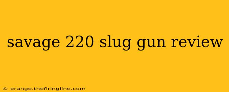 savage 220 slug gun review