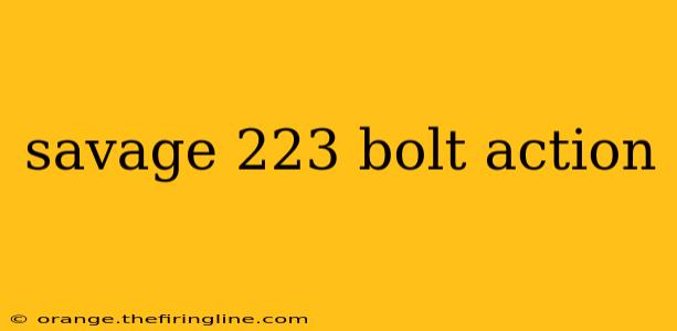 savage 223 bolt action