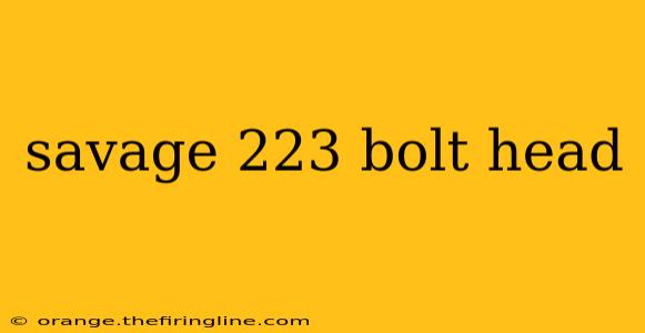 savage 223 bolt head