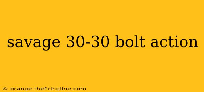 savage 30-30 bolt action