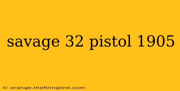 savage 32 pistol 1905