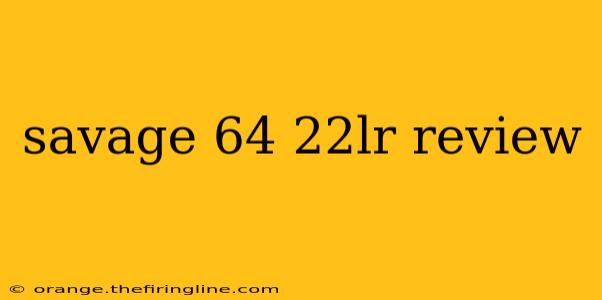 savage 64 22lr review