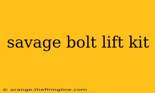 savage bolt lift kit