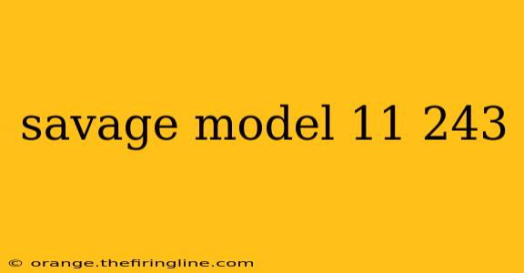 savage model 11 243