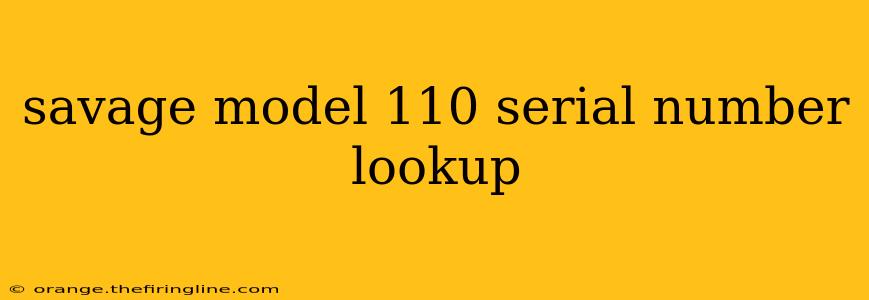 savage model 110 serial number lookup