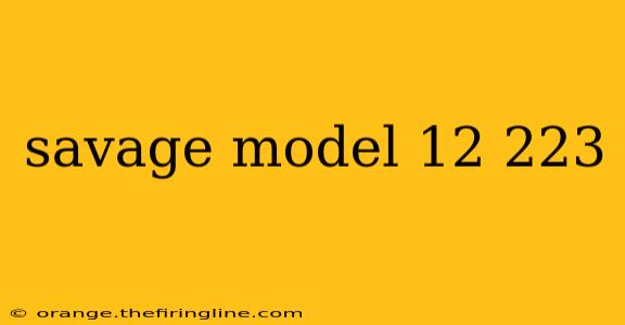 savage model 12 223