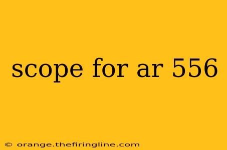 scope for ar 556