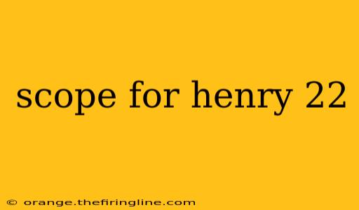 scope for henry 22