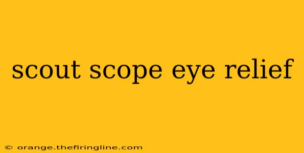 scout scope eye relief