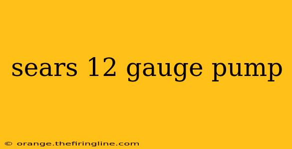 sears 12 gauge pump