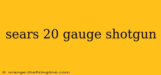 sears 20 gauge shotgun