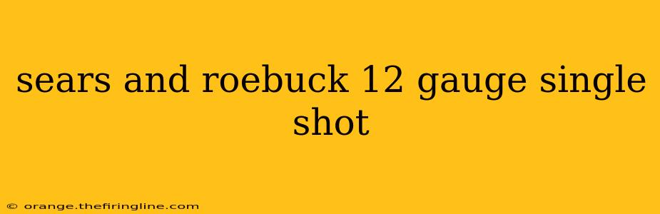 sears and roebuck 12 gauge single shot