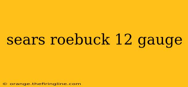 sears roebuck 12 gauge