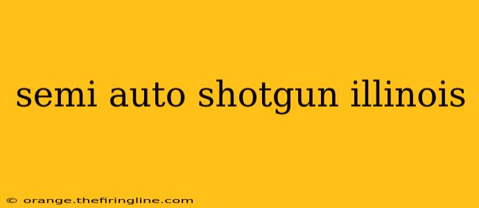 semi auto shotgun illinois