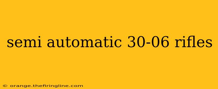 semi automatic 30-06 rifles