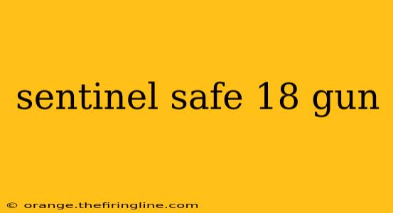 sentinel safe 18 gun