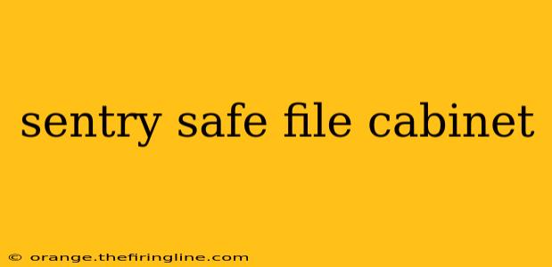 sentry safe file cabinet