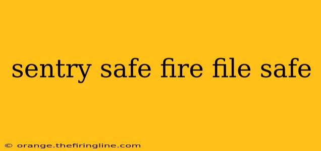 sentry safe fire file safe